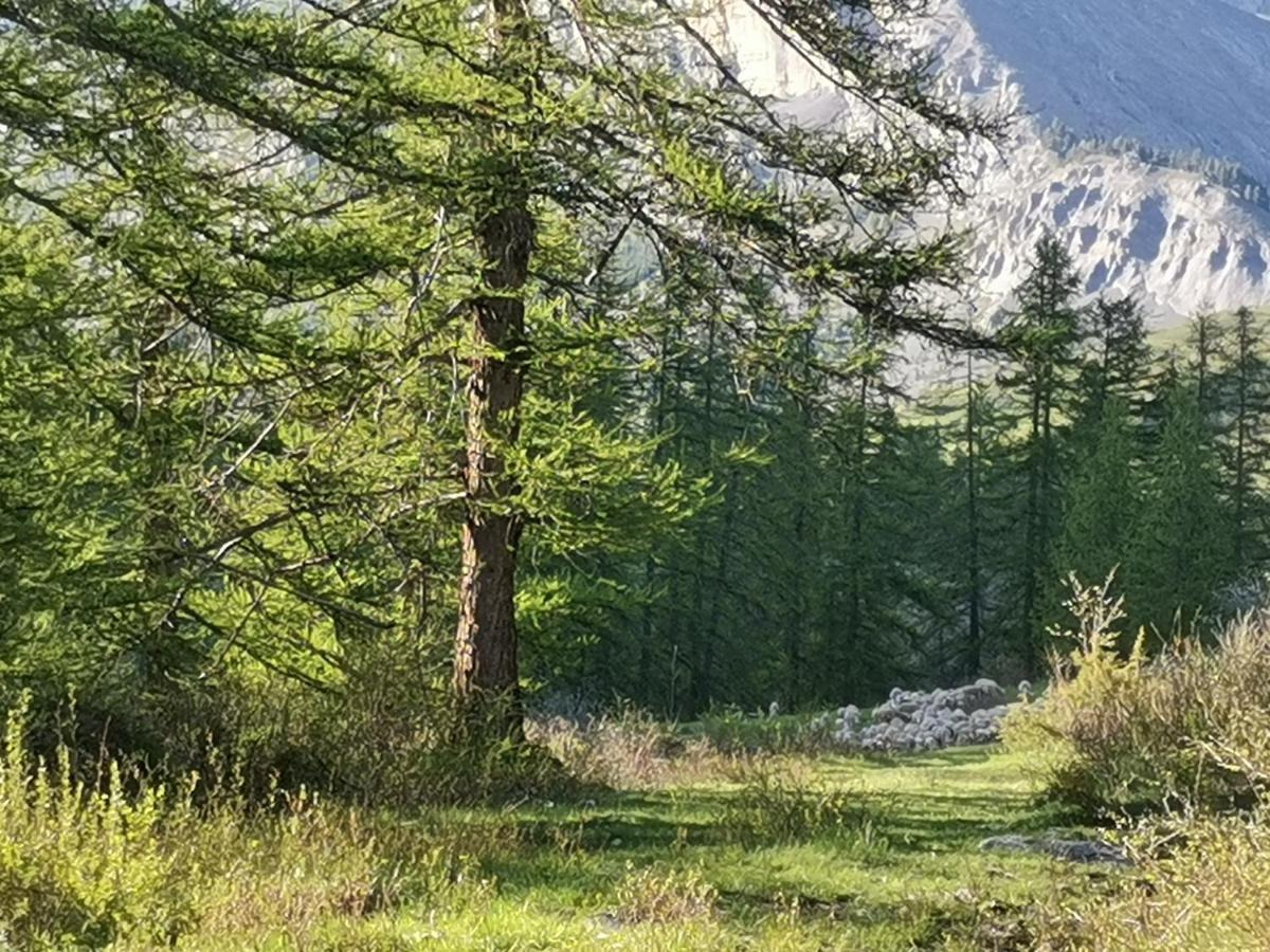 Residence Le Cairn Le Monêtier-les-Bains エクステリア 写真